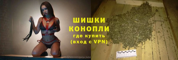 ПСИЛОЦИБИНОВЫЕ ГРИБЫ Липки