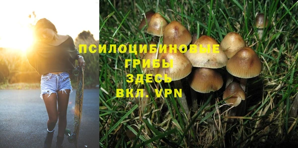 spice Лиски