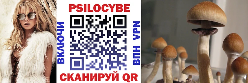 Галлюциногенные грибы Psilocybe  цены   блэк спрут   Талица 